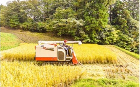 【予約受付】令和７年産・新米 瑠璃米 ４kg 南小国産 精米 2kg 2袋 米 白米 お米 ご飯 産地直送 高村農園 熊本 阿蘇 南小国町 送料無料