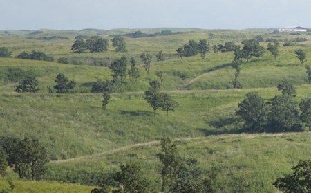 【FIL】エプソムソルト Epsomsalt  バスソルト 100g 3袋 入浴剤 小国杉製油 天然由来 硫酸マグネシウム スパ リラックス ギフト 贈答用 プレゼント Foreque 熊本 阿蘇 南小国町 送料無料