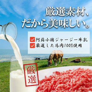【阿蘇牧場】定期便 3回 馬肉ハンバーグ 150g 12個 計1800g 1.8kg 熊本と畜 馬肉100％ 馬ミンチ ヘルシーミート 高タンパク 低カロリー 小分け 個包装 焼くだけ おかず 簡単 阿蘇小国ジャージー牛乳 後口ふんわり こだわりの素材