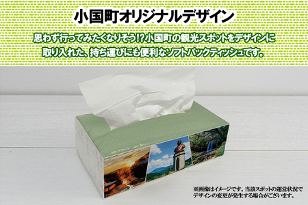 【令和8年4月～出荷】ティッシュペーパー ピュアパルプ ソフトパックティッシュ 60パック×400枚 200組 柔らか コンパクト 日用品 必需品 まとめ買い 常備品 備蓄 防災グッズ 熊本県 小国町 観光スポット紹介 オリジナル 常温配送