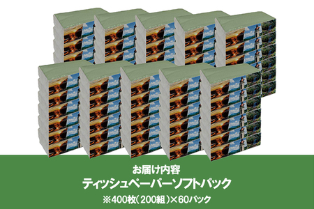 【令和8年4月～出荷】ティッシュペーパー ピュアパルプ ソフトパックティッシュ 60パック×400枚 200組 柔らか コンパクト 日用品 必需品 まとめ買い 常備品 備蓄 防災グッズ 熊本県 小国町 観光スポット紹介 オリジナル 常温配送