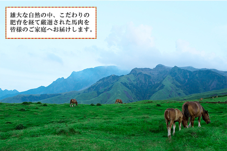 【トモヨシ】純国産 馬刺し 4種 上赤身 霜降り 馬ユッケ 馬レバー 各100g 計400g 希少部位 定番 熊本名物 国内肥育 熊本と畜 贈り物 贈答 ギフト 急速冷凍 小分け 真空パック 鮮度を保持 専用箱 熊本 阿蘇 小国町 チルド 冷凍配送