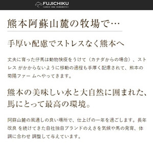 【熊本と畜】ふじ馬刺し 最高級部位の食べ比べセット（三枚バラ、ヒレ 各80g×2、ユッケ50g×2）