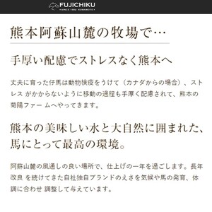 【熊本と畜】ふじ馬刺し 霜降り馬刺し3種（大トロ・中トロ・トロ各80g）セット