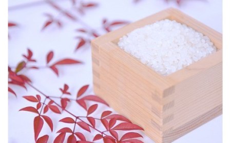 【JA阿蘇】令和7年産 新米 あきげしき 5kg 精米 水の国 熊本 阿蘇 小国郷 小国町 南小国町 高冷地 寒暖差で旨み凝縮 JA阿蘇 米づくり百選の地 知る人ぞ知る品種 秋景色 白米 米の甘み 冷めても美味しい