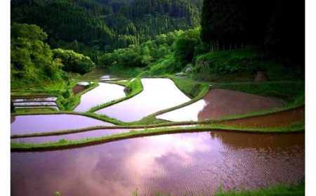 【JA阿蘇】令和7年産 新米 あきげしき 5kg 精米 水の国 熊本 阿蘇 小国郷 小国町 南小国町 高冷地 寒暖差で旨み凝縮 JA阿蘇 米づくり百選の地 知る人ぞ知る品種 秋景色 白米 米の甘み 冷めても美味しい