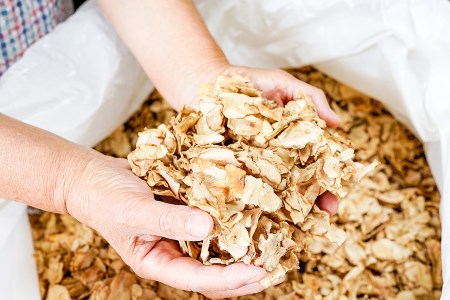 【児玉酒店】菊芋 きくいも キクイモ 乾燥 地熱 粉末 パウダー 栄養 小国 阿蘇 熊本 習慣 野菜 手軽に摂取 食物繊維 イヌリン キクイモオリゴ糖 お取り寄せ 贈答 ギフト