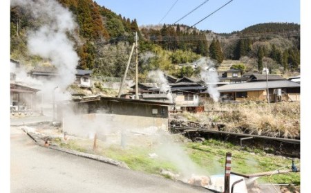 【小国産】地熱乾燥　乾燥原木しいたけ（30g×4袋）