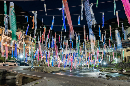 【杖立温泉観光協会】先行予約 令和8年度 受付開始 鯉のぼり 名入れ 掲揚権 熊本 阿蘇 杖立温泉 鯉のぼり祭 お子様 お孫様 端午の節句 特別な贈り物 年に一度 期間限定 イベント 映えスポット（杖立温泉鯉のぼり祭）