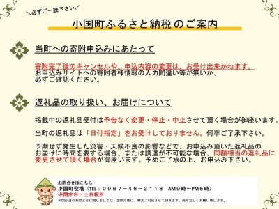 【先行予約】令和6年収穫・レンジ用甘藷「小国紅」3kg（2本入×8袋）