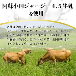 【阿蘇牧場】肥後の赤牛 ハンバーグ 150g×10個 計1.5kg 1500g 熊本県産 和牛100％ 阿蘇小国ジャージー4.5牛乳使用 大判 和牛ハンバーグ 小分け 個包装 焼くだけ簡単 冷凍 熊本 阿蘇 小国町