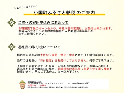 【阿蘇小国産】小国ジャージー牛乳かりんとう（100g×5袋）