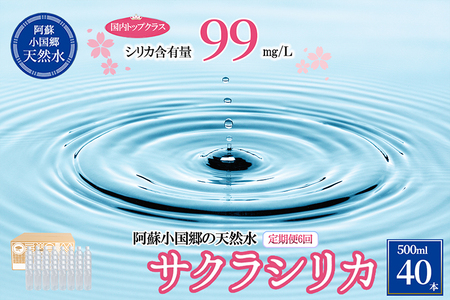 【桜屋】6回 定期便 シリカ天然水 サクラシリカ 500ml 40本 6回 計240本 シリカ含有量99mg/L シリカ水 ラベルレス 水 ミネラルウォーター 飲料水 飲料 ペットボトル ナチュラルウォーター サルフェート 炭酸水素イオン ミネラル 国産 阿蘇 小国郷