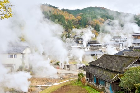 【阿蘇小国産】地熱乾燥ドライフルーツ（りんご）30g×4袋