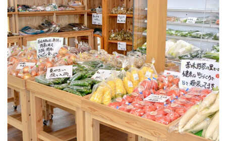 【定期便６回】阿蘇小国産・旬の野菜とお米５kgの詰め合わせ