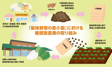 【定期便６回】阿蘇小国産・旬の野菜とお米５kgの詰め合わせ