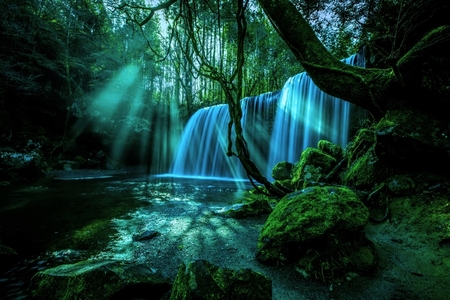 【ASOおぐに観光協会】阿蘇小国町 観光商品券 1000円券 3枚 3千円 熊本 阿蘇 小国町 杖立温泉 わいた温泉郷 湯けむり 蒸し湯 ジャージー牛乳 小国杉 旅行 観光 宿泊 飲食 お買い物 お土産 現地払い利用 宿泊 地域振興 旅行支援