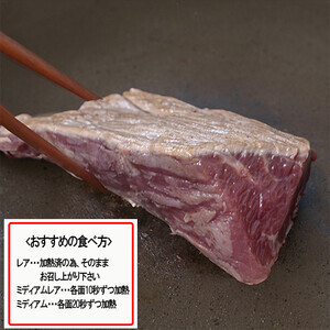 【令和6年12月出荷分】熟成×低温調理済 馬赤身肉500g