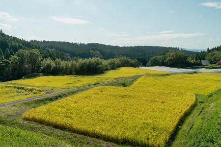 【予約米】令和6年産・阿蘇小国町「上田地区」の美味しいお米「あきげしき」5kg