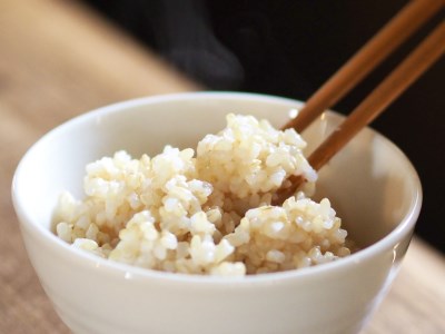 【阿蘇小国産】令和5年 田代さんの美味しいお米20kg（玄米）