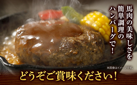 馬肉 ハンバーグ 150g × 10個 桜屋《60日以内に出荷予定(土日祝除く)》 熊本県 荒尾市 送料無料 肉 馬肉 ハンバーグ 惣菜 小分け【配送不可地域：離島】
