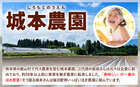 とうもろこし スイートコーン 10本|城本農園