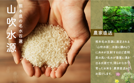 おとみや日和　　阿蘇の名水と野草堆肥のめぐみ　白米4kg（2kg×2袋）	