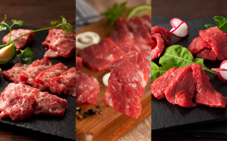 「本場・熊本」霜降り馬刺しと赤身の贅沢6種セット|フジチク					