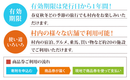 産山村観光商品券 3,000円 熊本 阿蘇