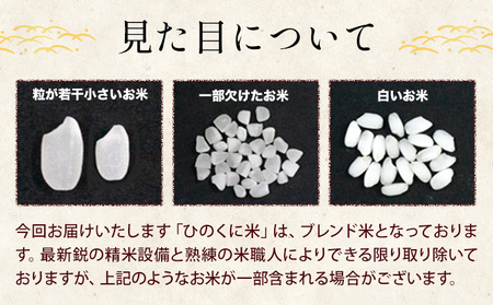  白米 ひのくに米 10kg 白米《7-14日以内に出荷予定(土日祝除く)》