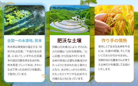 【3ヶ月定期便】 無洗米 ひのくに米 5kg 