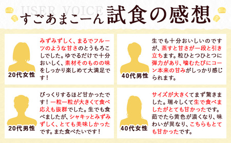 とうもろこし 20本 すごあまこーん  とうもろこし【着日指定不可】