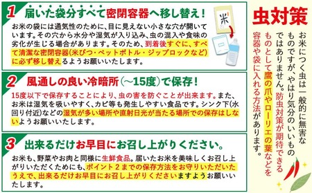 【12ヶ月定期便】令和7年産  こしひかり 5kg 白米 