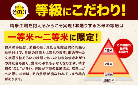 【12ヶ月定期便】令和7年産 無洗米 こしひかり 10kg 無洗