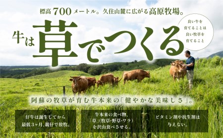 【山の里】くまもと阿蘇あか毛和牛ロースステーキセット（250g×2枚）【産山村産】