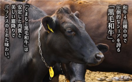 黒毛和牛・モモ焼肉用500g【熊本県畜産農業協同組合】