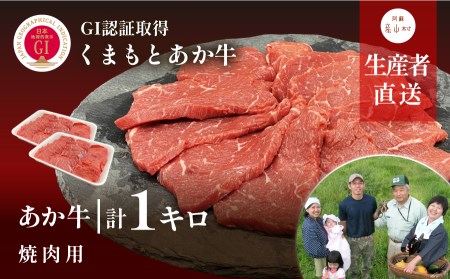 生産者直送！GI認証　くまもとあか牛焼き肉用1kg(500g×２パック)