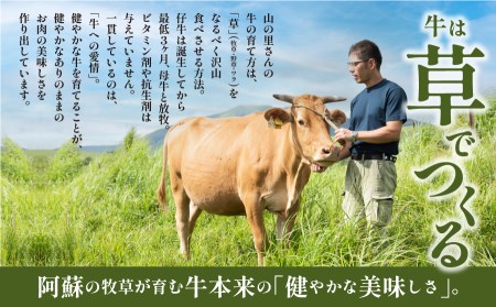 生産者直送！GI認証　くまもとあか牛すき焼き用(500g)・焼き肉用(500g)食べ比べセット