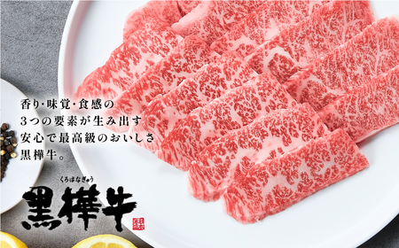 熊本県産黒毛和牛　黒樺牛焼肉用カルビ・モモ・切り落としセット　しょうゆタレ付《60日以内に出荷予定（土日祝除く）》