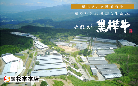 熊本県産黒毛和牛　黒樺牛焼肉用カルビ・モモ・切り落としセット　しょうゆタレ付《60日以内に出荷予定（土日祝除く）》