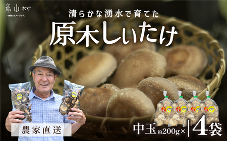  阿蘇・産山村産　原木生しいたけ中玉800g（200g×4袋）