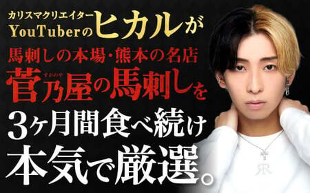 冗談抜きで旨い馬刺しセット 合計7～8パック タレ付き 馬刺 馬刺し 肉 お肉 冷凍 菅乃屋 熊本県 高森町