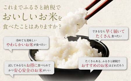 【訳あり】阿蘇のお米 合計16kg (5kg×2袋+6kg×1袋) 【2024年12月発送】 精米 お米 米 おすすめ 人気 ランキング