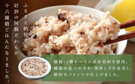 【定期便12ヶ月】阿蘇だわら 十六雑穀ごはん パックライス 160g×30パック 十六雑穀 雑穀 ごはん 米  香り 甘み  国産 定期便 お米