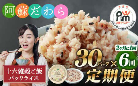 【定期便隔月6ヶ月】阿蘇だわら 十六雑穀ごはん パックライス 160g×30パック 十六雑穀 雑穀 ごはん 米  香り 甘み  国産 定期便