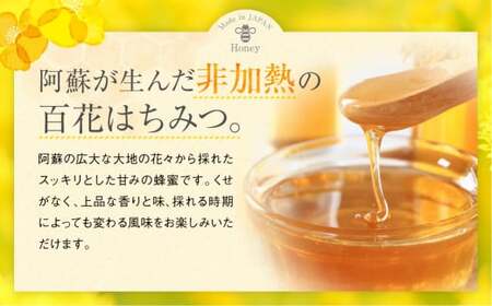 国産 百花はちみつ 合計1kg （500g×2本）【2025年1月発送】とんがりポリ容器 ハチミツ 熊本県産