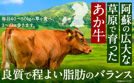 阿蘇プレミアムハンバーグ（レトルト） 150g×20個（合計3kg） ハンバーグ はんばーぐ ジューシー あか牛 赤牛 牛肉 洋食 おかず レトルト 簡単 お手軽 熊本 阿蘇 九州