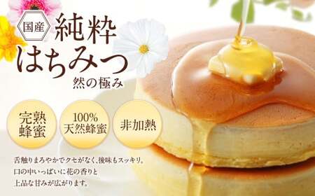 国産 純粋はちみつ 然の極み 1kg（500g×2本）セット（とんがり容器）【2025年1月発送】国産 百花 蜂蜜 はちみつ ハチミツ