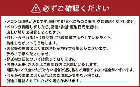 肥後グリーンメロン 2玉（4.2～4.5kg）【2026年7月上旬～8月上旬発送予定】メロン フルーツ 果物 くだもの 熊本県産 国産