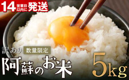 阿蘇のお米 5kg【14営業日発送】 精米 お米 米 おすすめ 人気 ランキング
